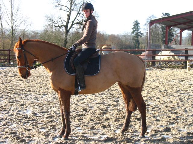 Galop 1 08 mars 2008 photo 3.jpg